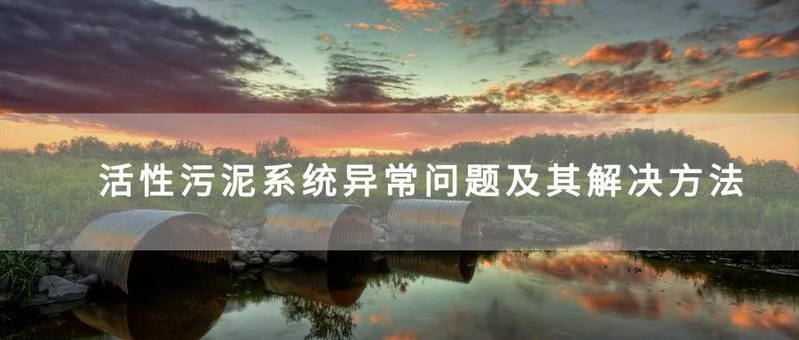 活性污泥活性不好怎么解决,污泥脱水机异常原因及解决对策