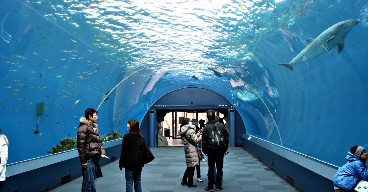 日本第三大城市福冈,日本第三大城市横滨