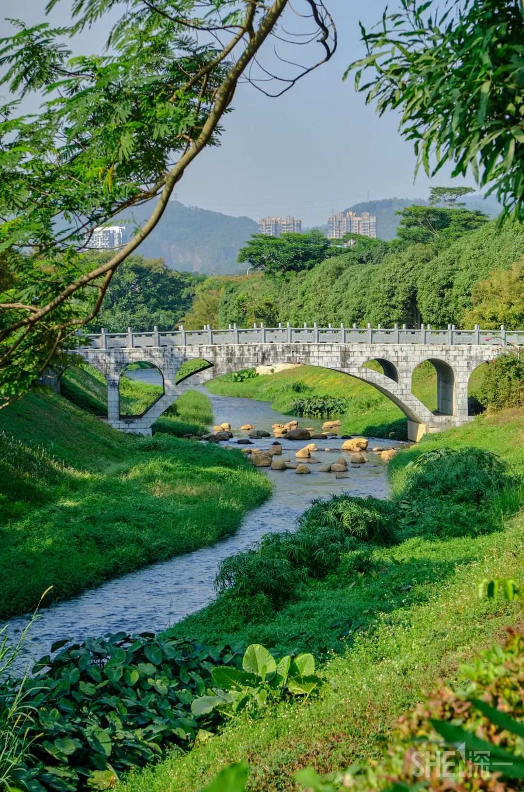 深圳10公里跑步路线,深圳跑步路线推荐塑胶跑道