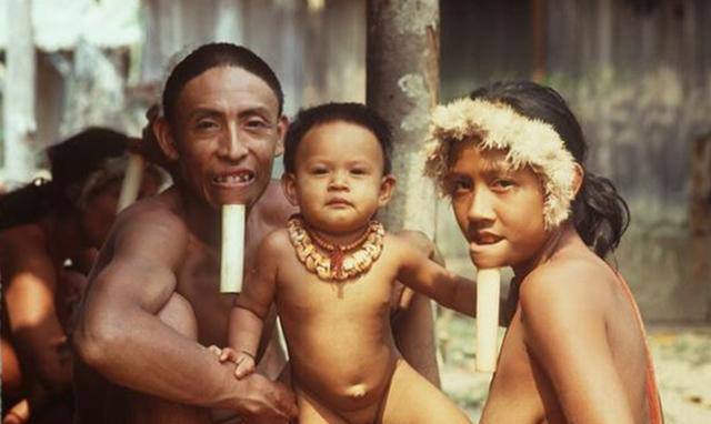 佐埃人下巴怎么插木棍,月亮之子图片