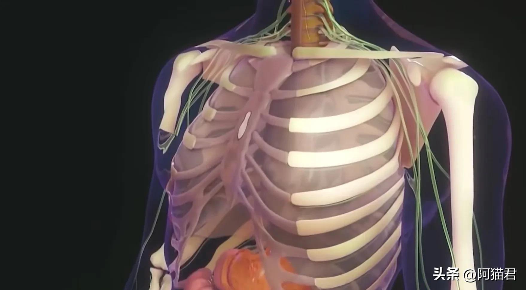 自然老死的人去世没有痛苦？网友看完自然老死的过程内心五味杂陈