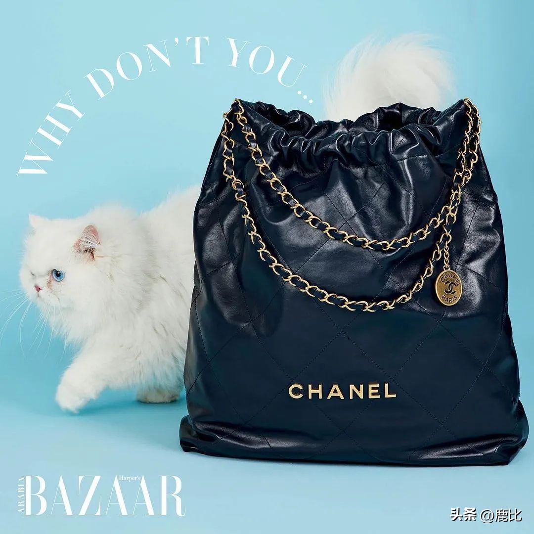 goyard单肩包评测 (goyard hobo包包男款)