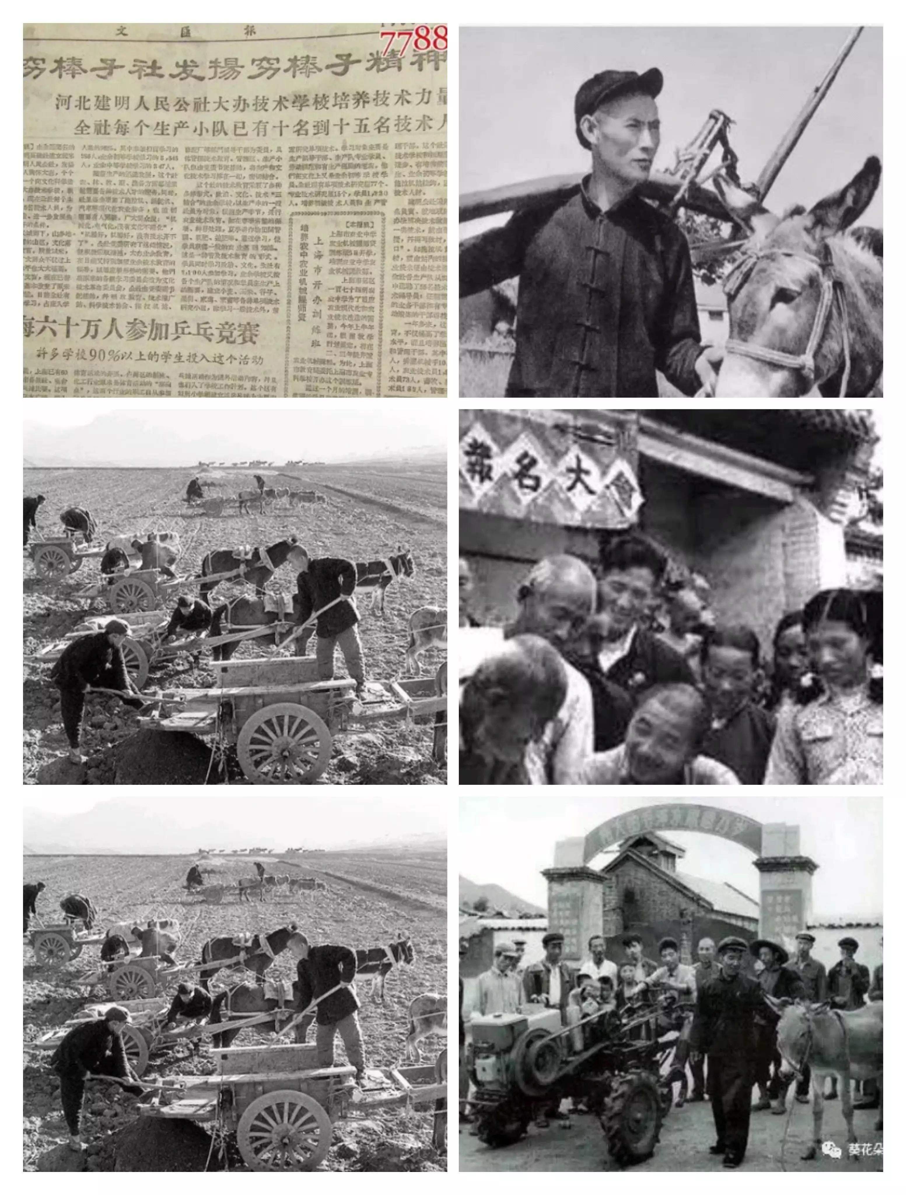 （原创）你们知道“三条驴腿”的穷棒子农业合作社吗？