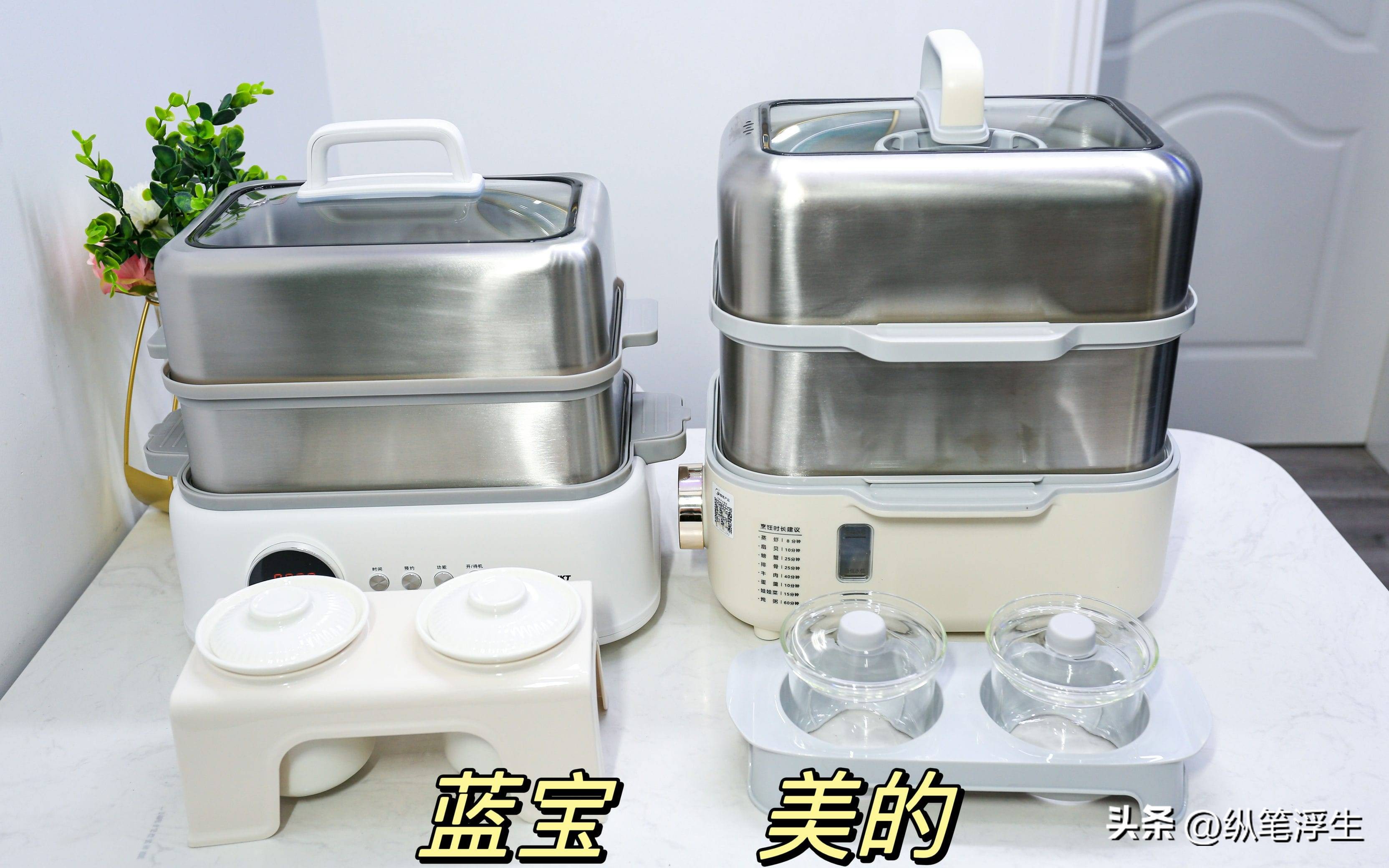 蓝宝电蒸锅对比评测,蓝宝电蒸锅真实测评