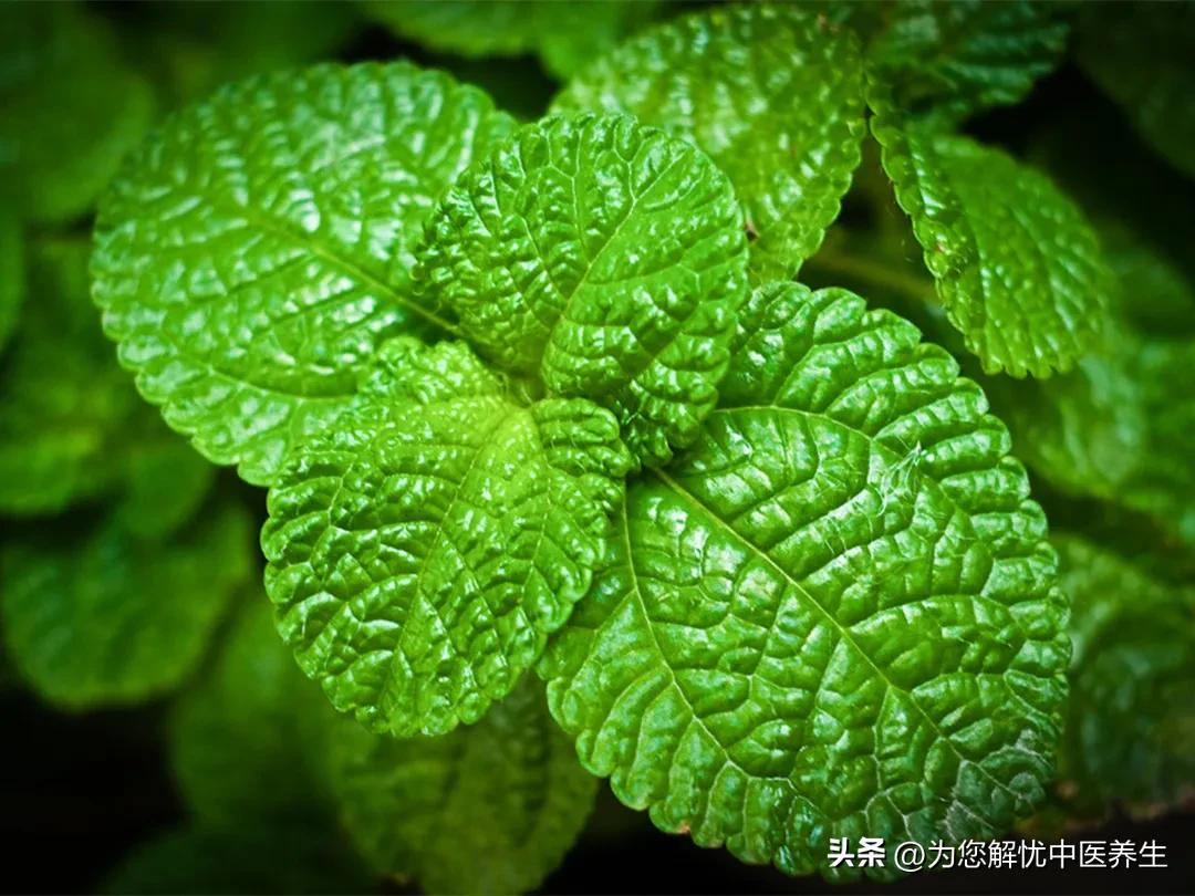 胃下垂能根治吗,胃下垂能彻底治愈吗