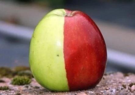 奇闻怪事未解之谜,未解死亡之谜奇闻怪事