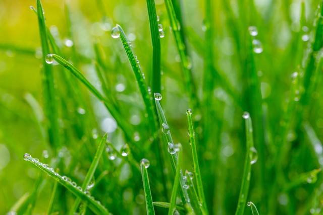 年轻爸爸和不到一岁的宝宝有错吗？从单元被封说起