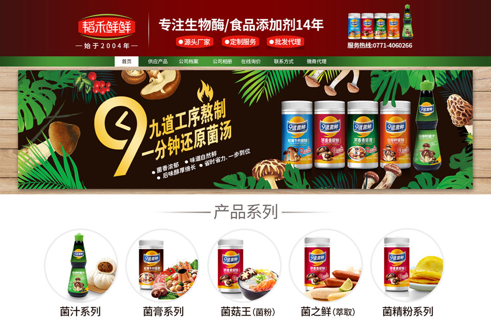 用战略性商业思维打造成功企业,战略策划公司创建良好的品牌形象