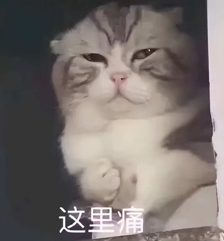 第一次世界大战是怎么打起来的,第一次世界大战波兰被打的原因