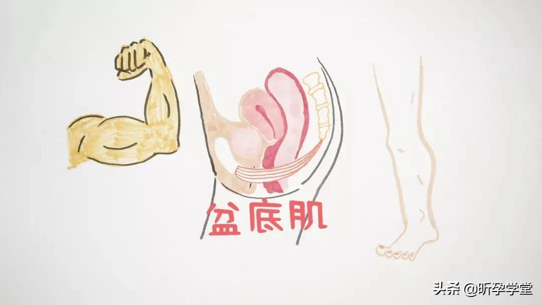 《女心理师》聚焦产后漏N问题,有多少妈妈还在忍受生娃后遗症