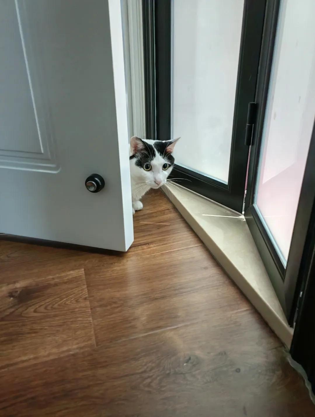 普通的玻璃，竟然也有自己美丽的传说