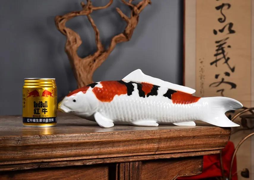 从日本过来的鱼,从日本进口锦鲤