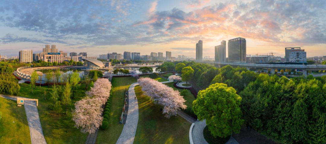 浙江十年新闻发布会,浙江金华义乌新闻发布会