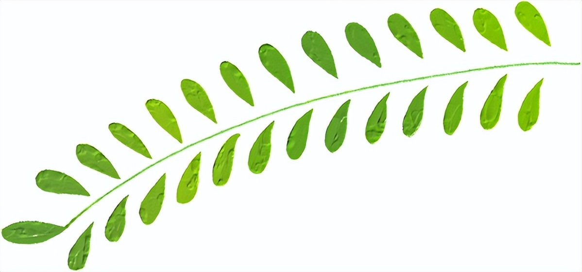 【以案释法】“老赖”办假士官证坐飞机？我看刑！