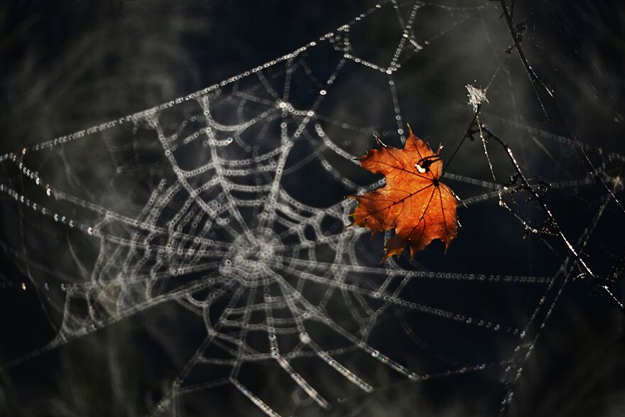 大自然的美景秋天摄影照片,美丽的大自然春夏秋冬图片大全
