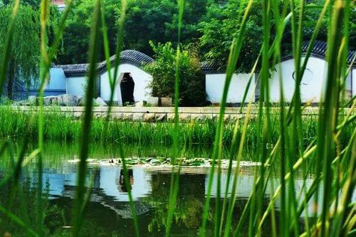 「新梦文学」同题专刊：东边日出西边雨】