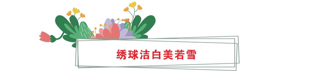 花卡特惠,新春钜惠不容错过