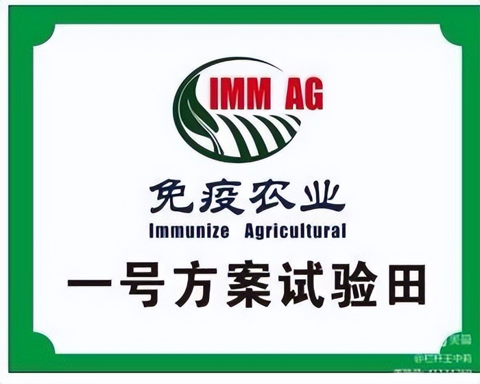 平安淮滨新变化丨淮滨县栏杆街道:喜迎二十大,夸夸我的家乡王湾新变化