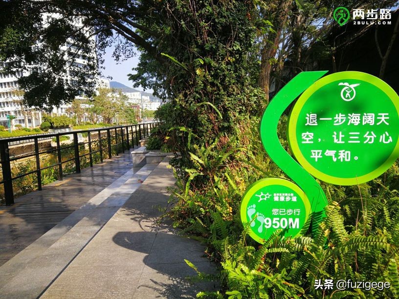 深圳徒步路线从梧桐山到盐田,深圳十峰大南山徒步最佳路线