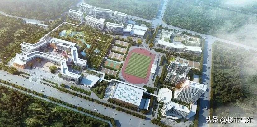 汕头新增5年制学校,汕头市将建成的学校