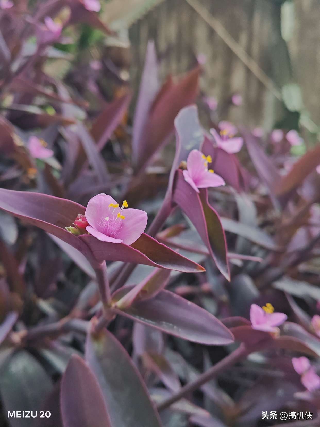 魅族20升级flyme10.5,魅族20flyme最新系统好不好