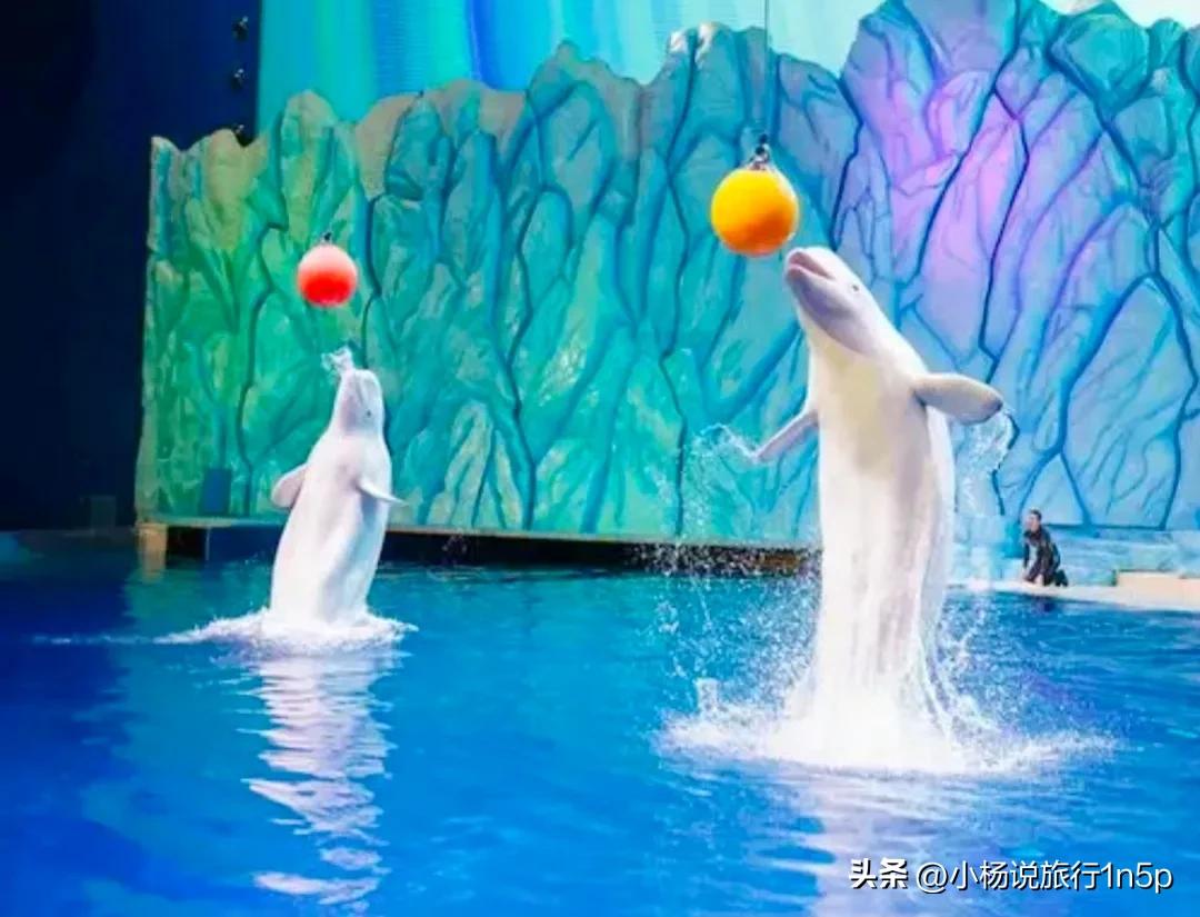 广东最值得去的五个游玩地方,广东省最值得去的地方前十