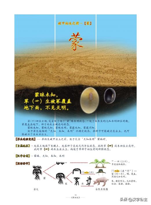 姹夊瓧妞嶇墿,鑽夋湪姹夊瓧