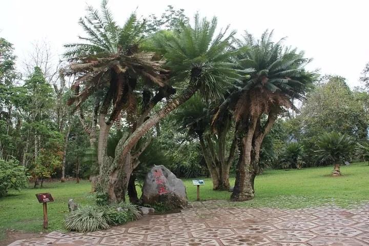 云南西双版纳旅游攻略app,云南西双版纳旅游攻略自由行12月