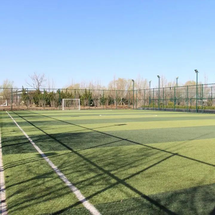 东营奥体中心游泳馆收费标准,东营奥体中心最新动态