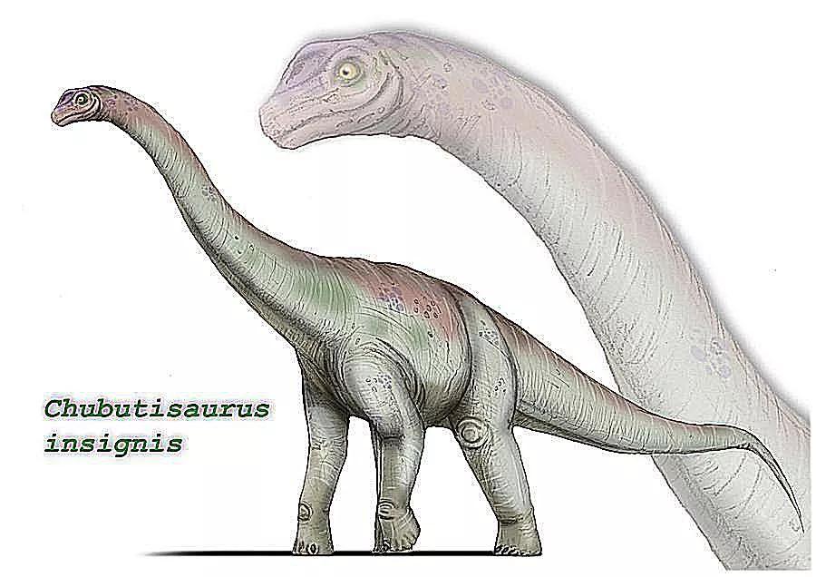 泰坦巨龙图片从哪来的,泰坦巨龙恐龙图片和简介