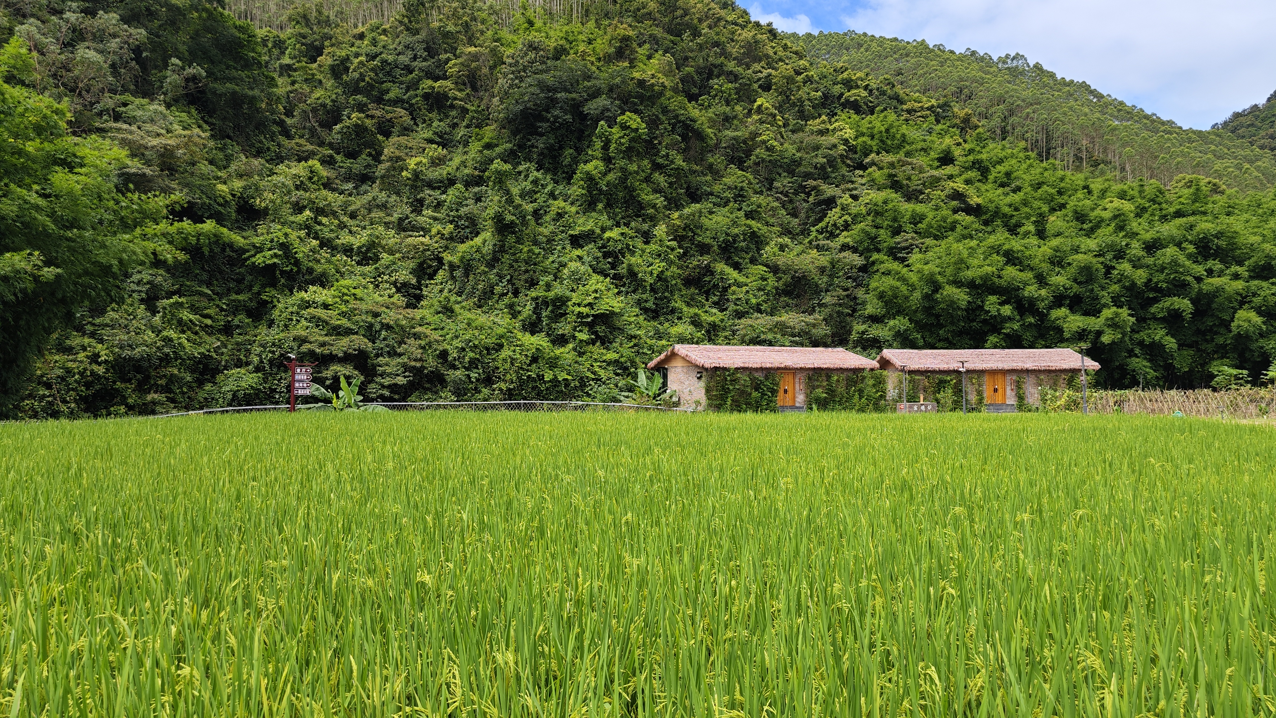 罗浮山温泉品质特色民宿推荐,惠州罗浮山脉下的乡野秘境民宿