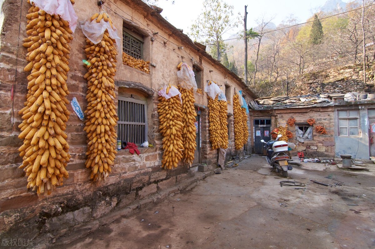 47岁的我，每年冬季来*疆新**做生意，养活了我们一家人，很知足