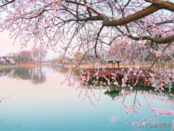 双春年不宜结婚,民间说法双春年不宜结婚