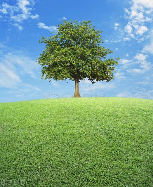 自然界的光是什么光,自然界的光是怎样产生的