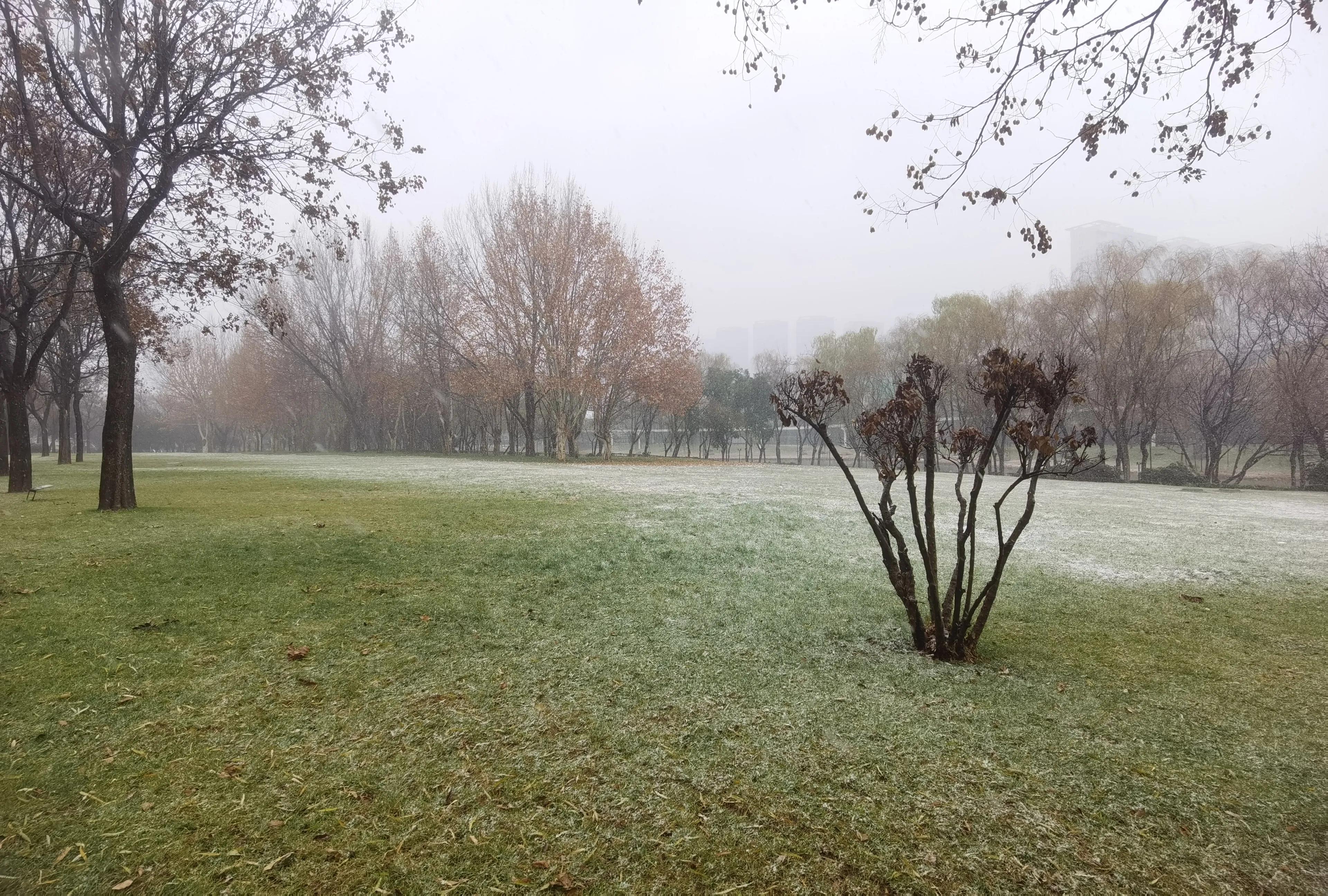 冬雪歌曲,冬雪原唱