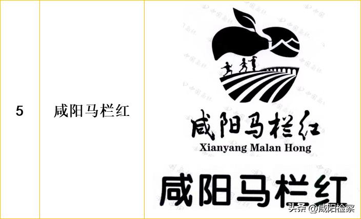 【知识产权宣传周】咸阳地理标志保护产品都有啥？怎么保护？检察官教大家打卡！