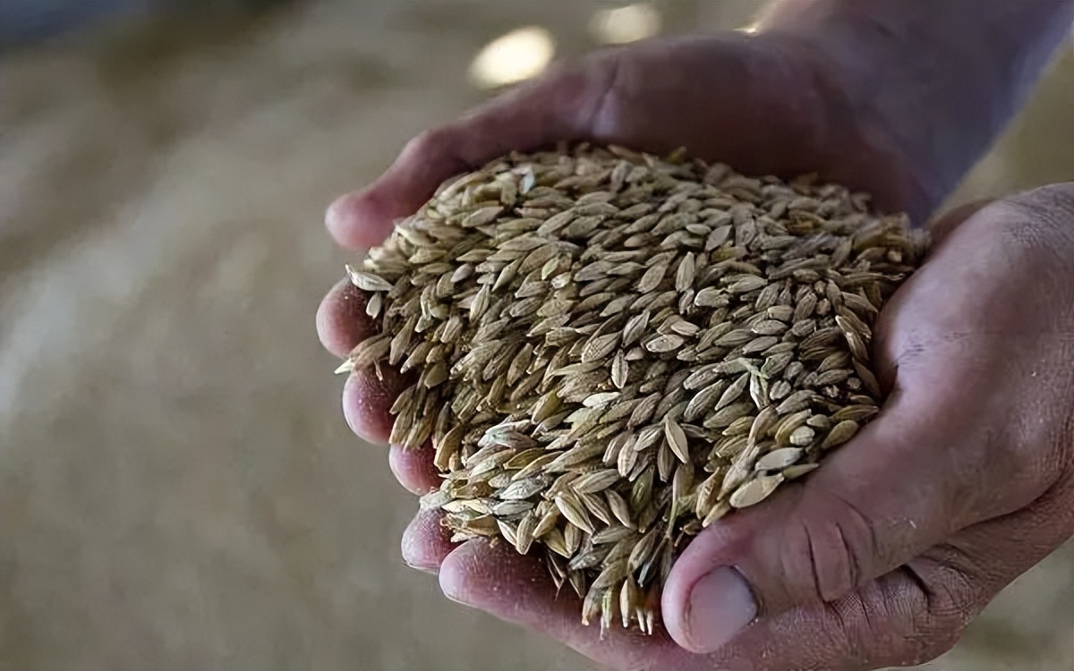 德国拜耳总部最新声明,德国拜耳集团来华