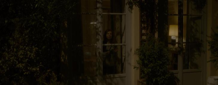 黄暴导演合作顶级女演员，情节狗血至极，无视道德底线，还被大赞