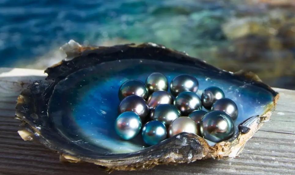 世界上最贵品种的珍珠,世界最贵十颗珍珠
