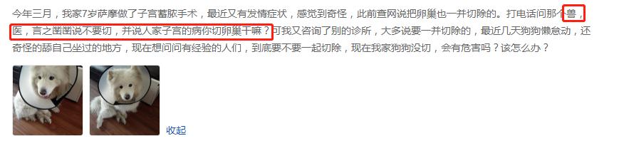 狗狗切除子宫多少钱,狗子宫蓄脓要切除子宫吗