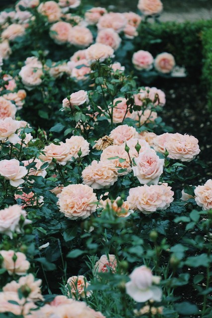 2023最火励志文案,励志文案2023最火