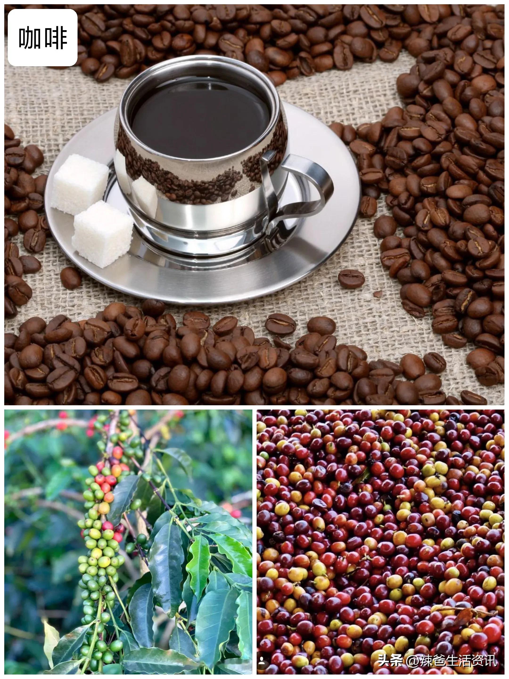 巴西2022世界杯桑巴,2022世界杯巴西桑巴