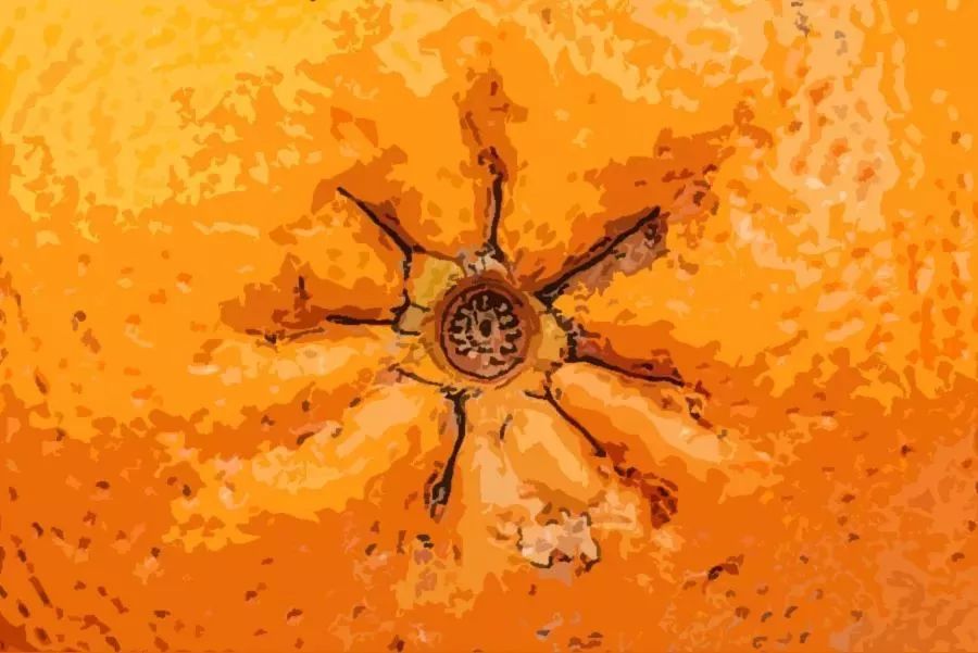 32岁大直男的“*爆菊**史”，都是血泪！一招教你长“痔”久安（附详解图）