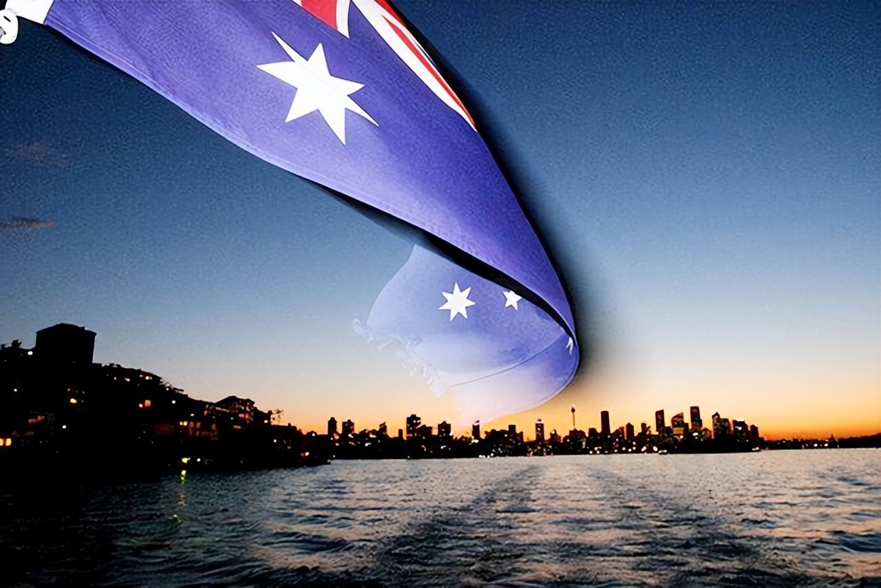 澳大利亚野兔泛滥成灾体重近百斤,澳大利亚野兔成灾野兔上百斤