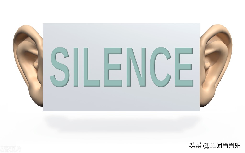 有言有味说单词视频,有言有味