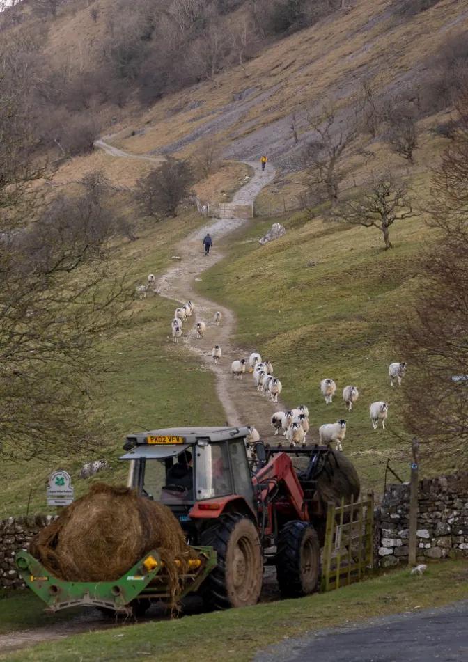 驾校招生引流渠道,商业模式驾校引流