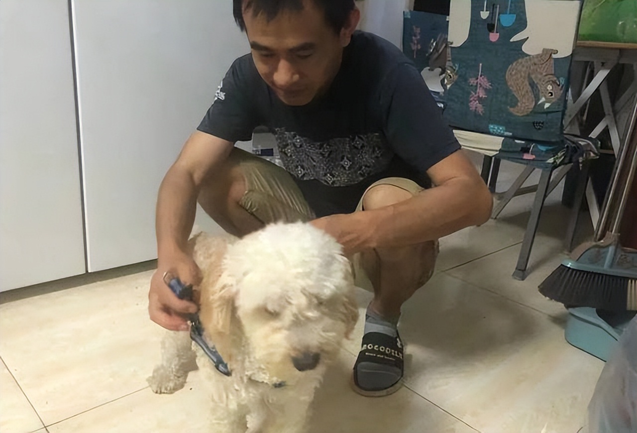 不是鹤岗人可以去鹤岗买房定居吗,不是鹤岗人能在鹤岗买房子吗