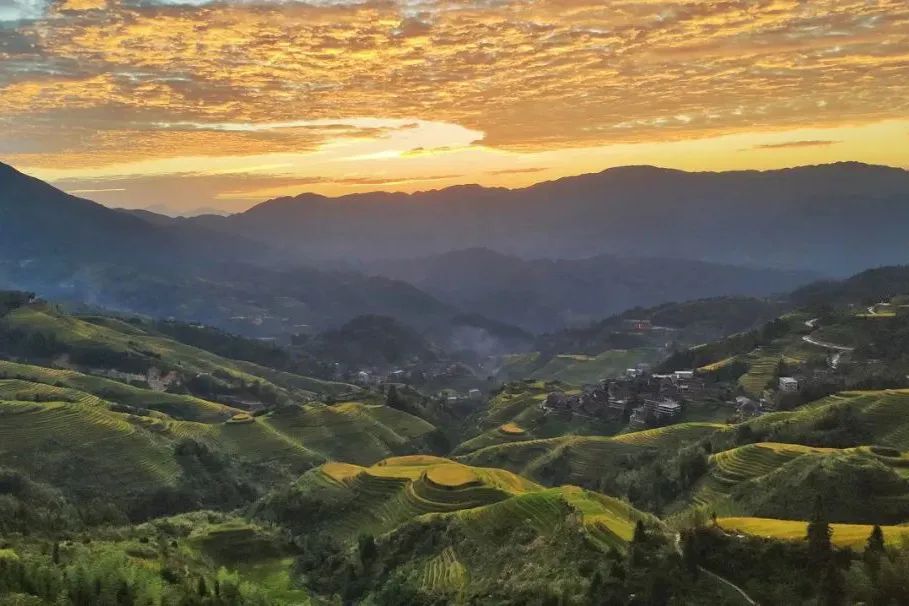 盘点那些过气网红的现状,2020年已经过气的网红