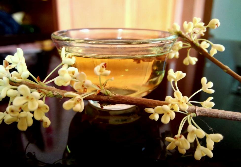 有关桂花的最经典古诗,描写桂花最经典的诗句