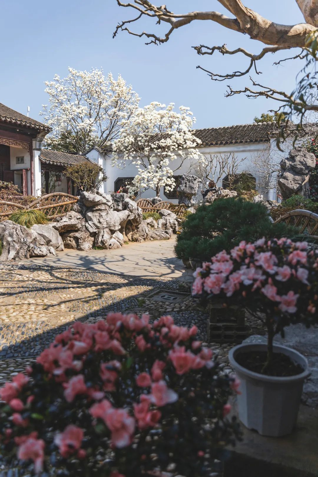 以城相见|苏州，最江南